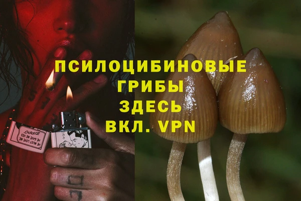 COCAINE Болохово